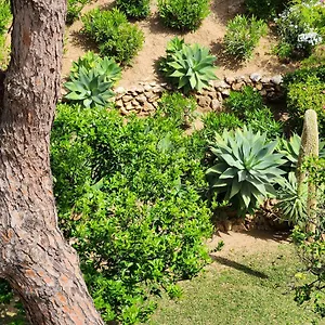  Apartamento Elena Flat A Little Paradise Right On The España
